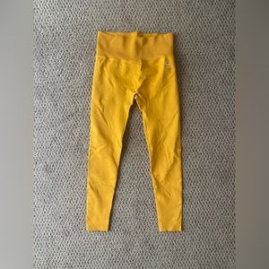 Titan Rhea Seamless Leggings